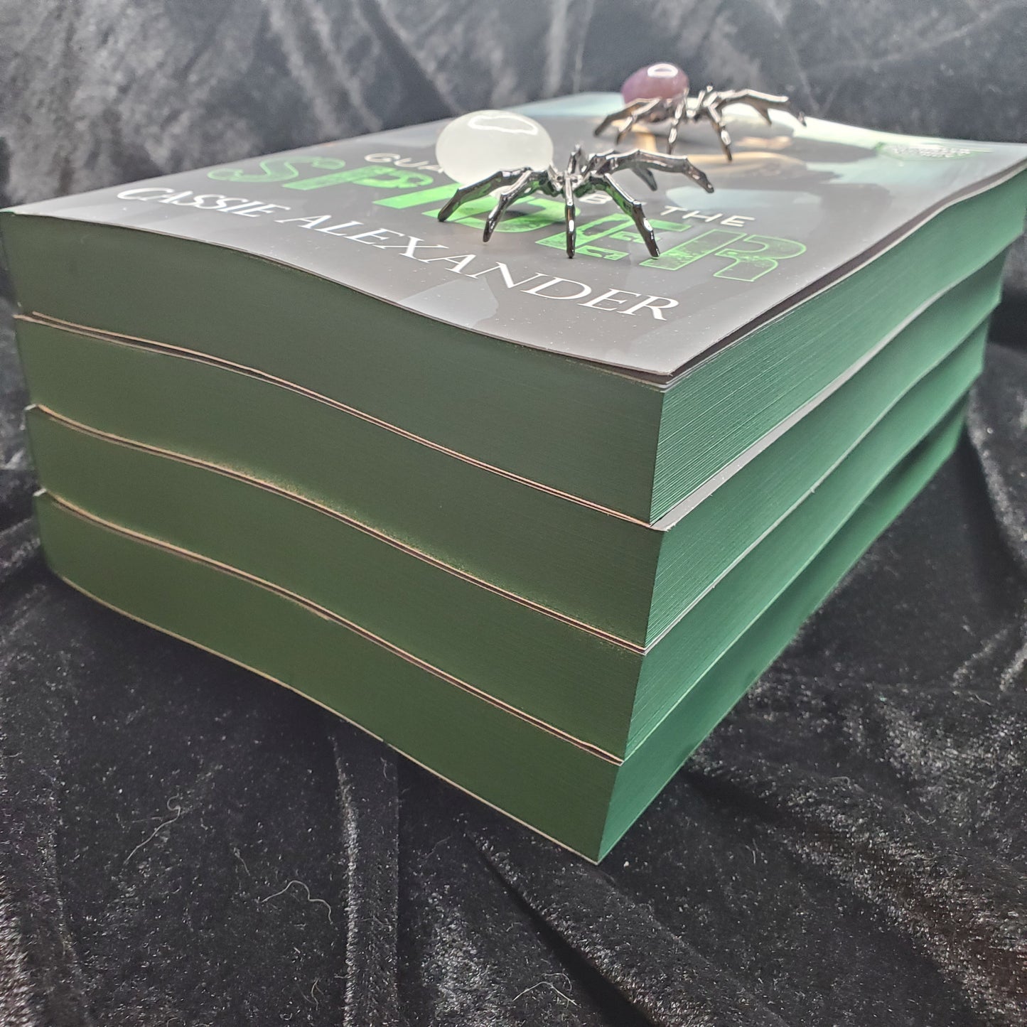 Guarded by the Spider (Sprayed Edges Paperback)